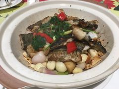 -有心德(麦地店)