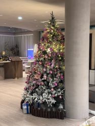 -馨月汇·一悦馨香月子中心(前滩店)