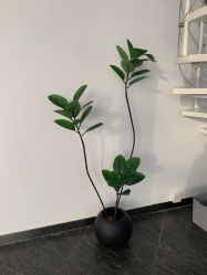 -丫丫NAIL日式自助美甲美睫沙龙