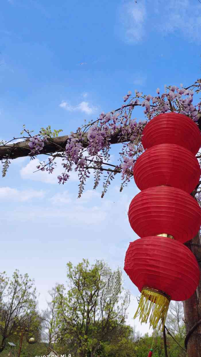 石塘公园-"崇贤口上秋石高架的北面打开车窗,不经意."-大众点评移动版