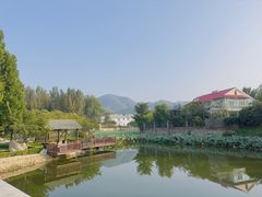 -静之湖度假区