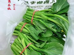 -三旗百汇商品城