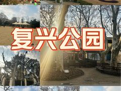 -复兴公园