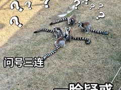 -无锡动物园·太湖欢乐园