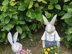 -上海共青森林公园