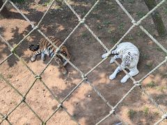 -西霞口神雕山野生动物世界