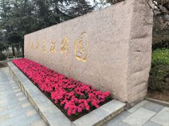 -铁山坪森林公园