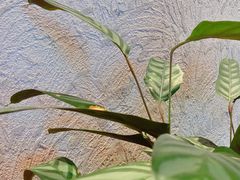 -亦庄创意生活广场