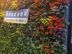 -春熙路步行街