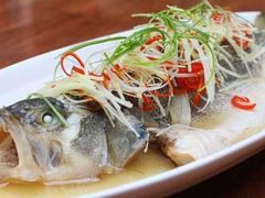 清蒸鲈鱼-宏天寶·北京烤鸭(宾馆西路2店)