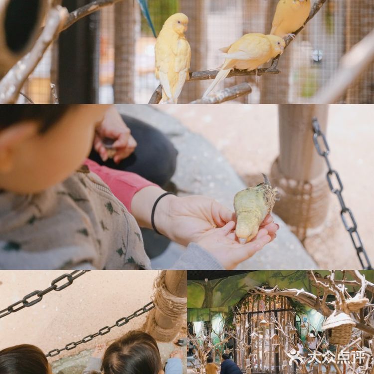 太美了叭🌸帝都首家室内亲子动物园🔥🐑