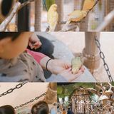 太美了叭🌸帝都首家室内亲子动物园🔥🐑