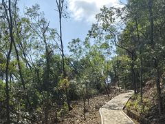 -大屏嶂森林公园