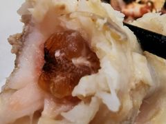 -欢乐海岸美食联盟