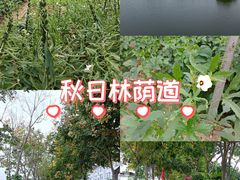 -八仙台服务区-停车场