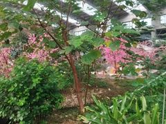 -御龙温泉度假村