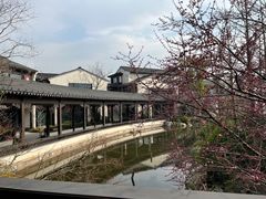 -雅达·阳羡溪山小镇中心