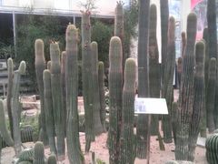 android_upload_pic-石家庄市植物园