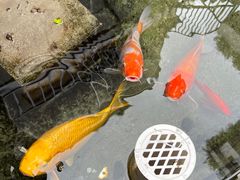 -漫笙舍Manse·咖啡·民宿