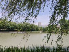 -成都中医药大学(温江校区)