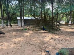 -山东艺术学院(长清校区)