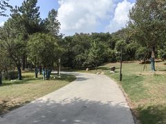 -观潮胜地公园