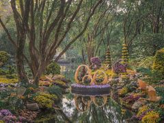 -上海共青森林公园