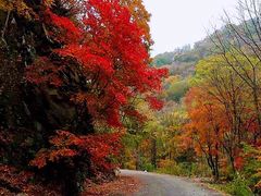 -天津盘山风景名胜区