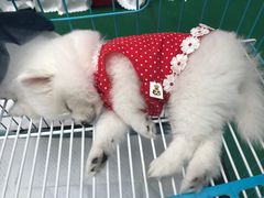 -方恒购物中心(望京小街店)