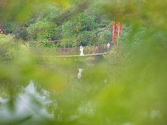 -吴淞炮台湾湿地森林公园烧烤区