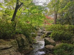 -上海滨江森林公园