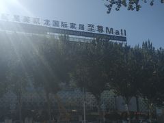 -红星美凯龙(东北全球家居1号店)