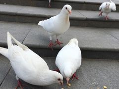 -无锡动物园·太湖欢乐园
