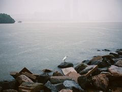 -深圳湾公园(南山区)