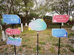 -高东镇樱花园