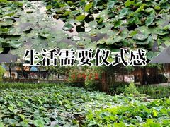 -四海公园(南山区)