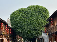 -三坊七巷历史文化街区