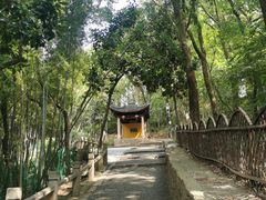 -灵岩山风景区