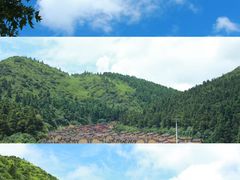 -武陵山森林公园