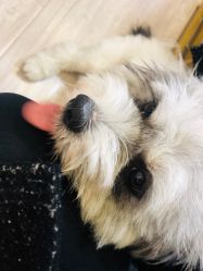 -沐蕙日式美甲美睫皮肤管理