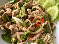 凉拌猪肉-Kat's Kitchen