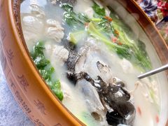 太白鱼头-披云山庄