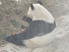 -青藏高原野生动物园