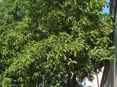 -宁波市保国寺古建筑博物馆