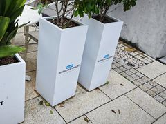 -Blueglass酸奶(上生新所店)