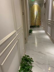 -紫琪尔胸部养护中心