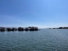 -泸沽肴(泸沽湖大洛水村农村信用社旁店)