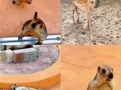 -南戴河国际娱乐中心