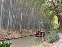 -同里国家湿地公园
