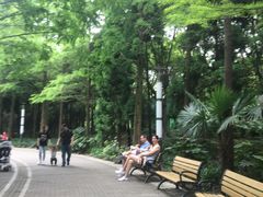 -苏州河梦清园环保主题公园